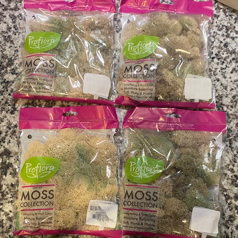 4 pack - Moss Collection - Green Hues, Brown Hues, Cream Hues -  Reindeer Moss
